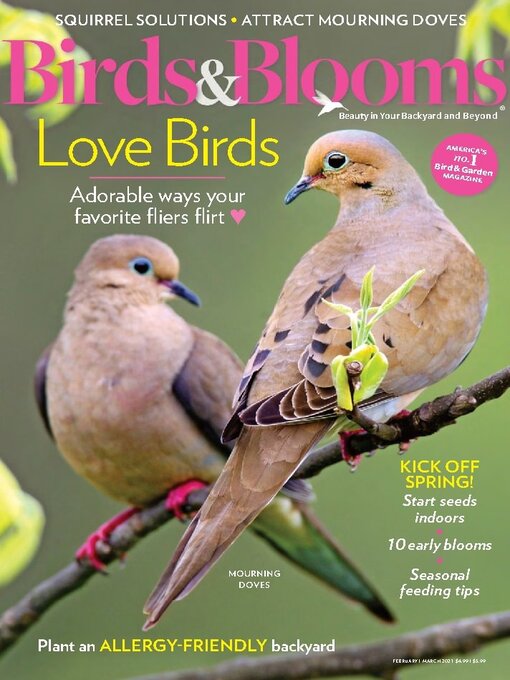Cover image for Birds & Blooms